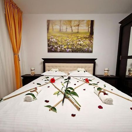 Appartamento Forest Intimate Hideaway - Sub Padure Love Nest Braşov Esterno foto