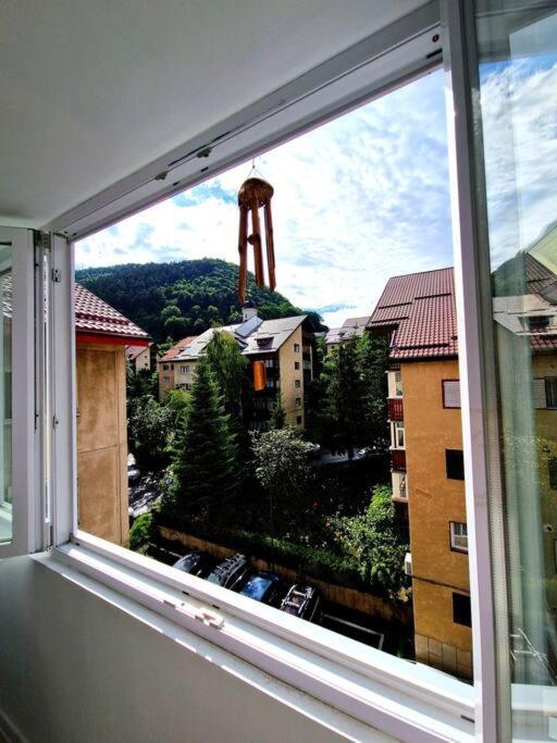 Appartamento Forest Intimate Hideaway - Sub Padure Love Nest Braşov Esterno foto